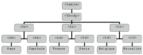 structure DOM